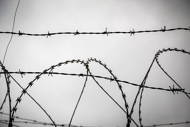 istock barb wire shoot against a gray sad sky 465241137
