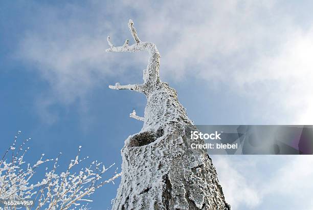 Photo libre de droit de Hoar Frost banque d'images et plus d'images libres de droit de Bleu - Bleu, Branche - Partie d'une plante, Buée