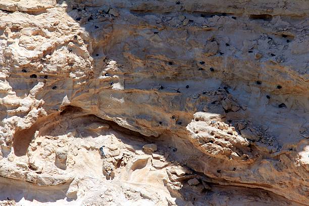istock Ein Avdat Canyon in Negev desert, Israel. 465245481