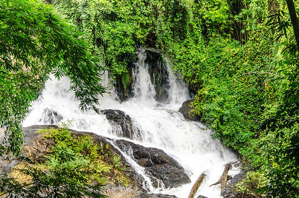istock Beautiful of waterfall in the forest 465245567