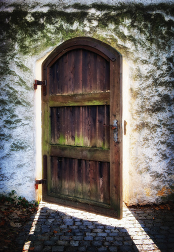 old door at a park