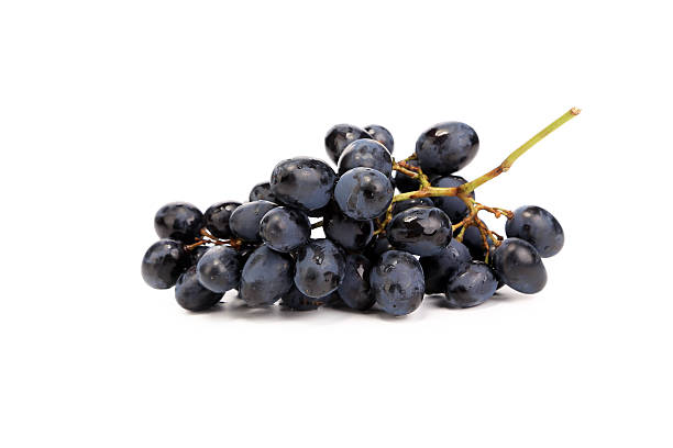 istock Branch of black ripe grapes. 465246655