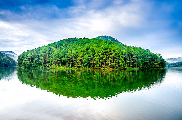 vista de pang ung florestais plantation - kesiya imagens e fotografias de stock