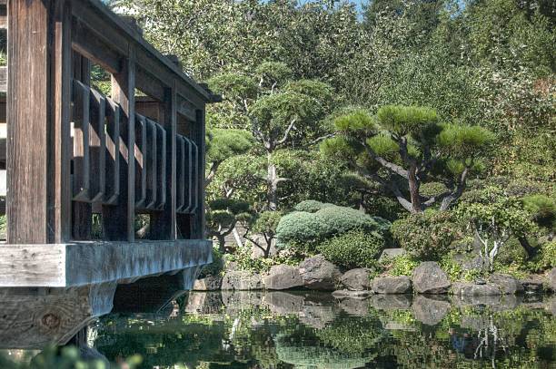 istock Japanese Tea Garden 465247829