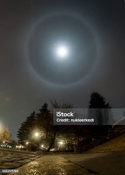 Luna Jupiter E Circolare Halo Lunare - Fotografie stock e altre immagini di Albero - Albero, Astratto, Aureola - Simbolo