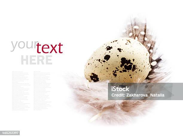 Un Huevo De Codorniz Con Pluma Aislado Blanco Foto de stock y más banco de imágenes de Alimento - Alimento, Amarillo - Color, Blanco - Color