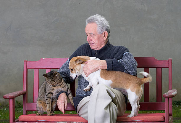 istock Senior man with cat and dog 465255837