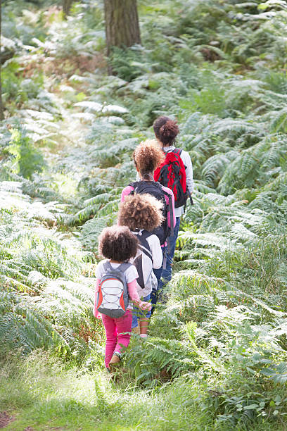 istock Family Group Hiking In Woods Together 465256417