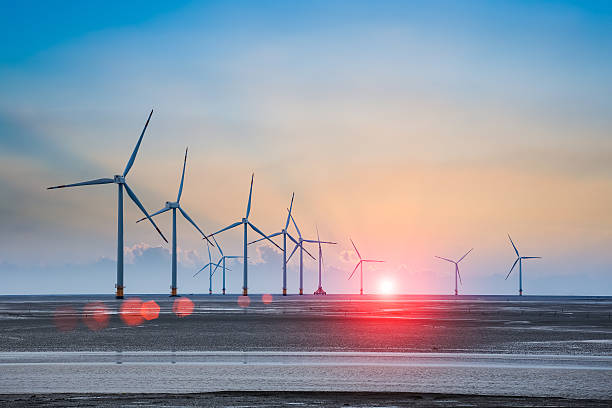 wind turbine farm with rays of light at sunset offshore wind farm at low tide in sunset offshore wind farm stock pictures, royalty-free photos & images