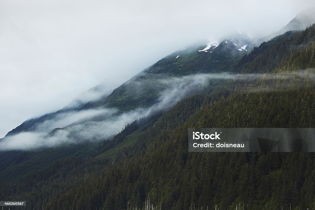 Chugach National Forest and Mountains, Alaska The Chugach National Forest is a 6,908,540-acre (27,958 km2) Alaska - US State Stock Photo