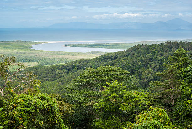 istock Daintree National Park, Cape Tribulation, Australia 465260889