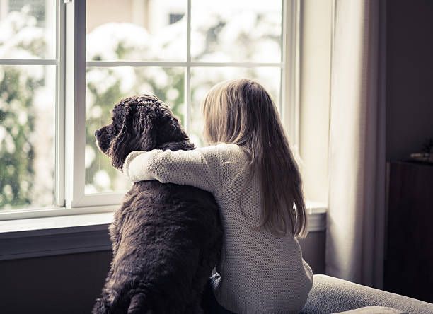 bambina e il suo cane guardando fuori dalla finestra. - animal dog winter snow foto e immagini stock