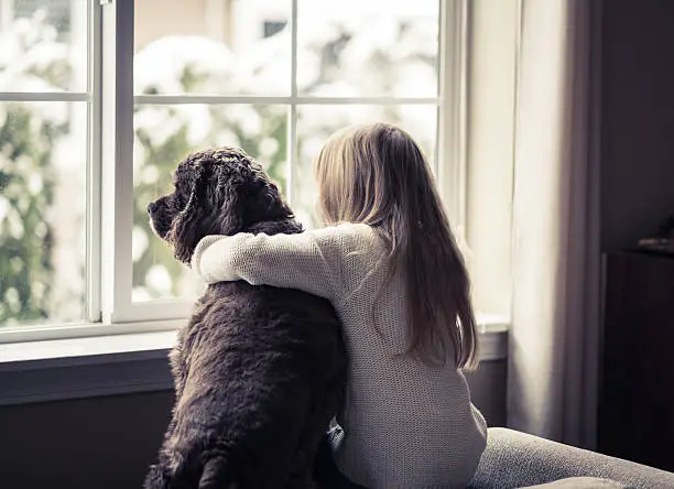 Photo of Little girl and her dog looking out the window.