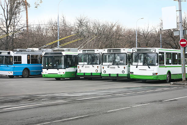 trolleybuses row trolleybuses row on asphalted parking pileup stock pictures, royalty-free photos & images