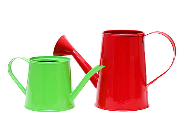 istock steel watering can 465265044