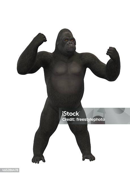 Gorilla Chest Thumping Stock Photo - Download Image Now - Gorilla, Chest - Torso, Cut Out