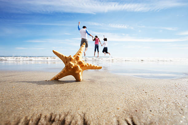 istock Starfish In Foreground As Father Plays With Children 465287829