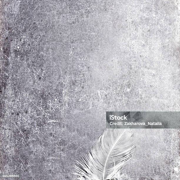 Vintage Blank Gray Scratched Board With White Feather And Copy Stock Photo - Download Image Now