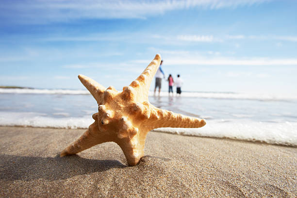 istock Starfish In Foreground As Father Plays With Children 465289597