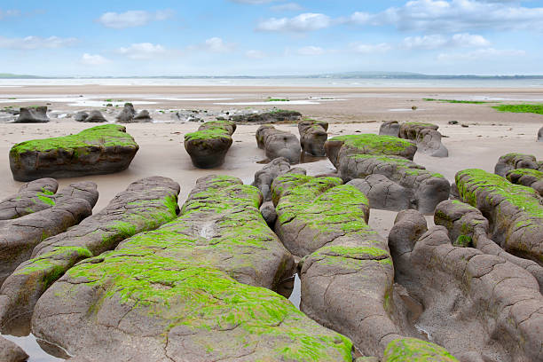 mud banks at Beal beach stock photo