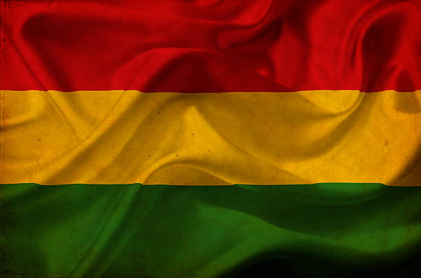 istock Bolivia waving flag 465297385