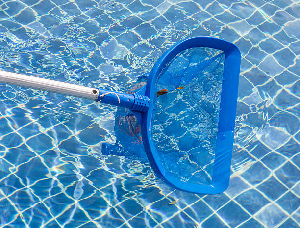 istock Cleaning and maintenance swimming pool with cleaning net, blue s 465300042