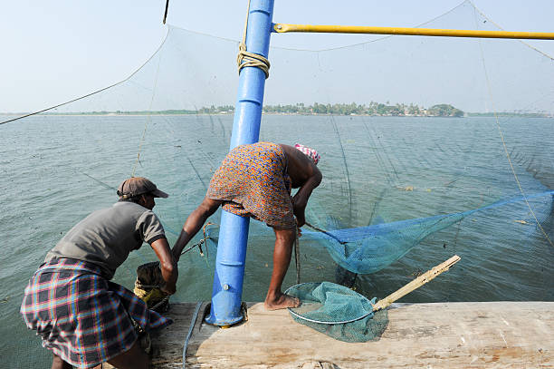 travail des pêcheurs un filet de pêche chinois - kerala harbor malabar coast chinese fishing net photos et images de collection