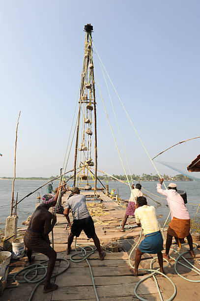 travail des pêcheurs un filet de pêche chinois - kerala harbor malabar coast chinese fishing net photos et images de collection