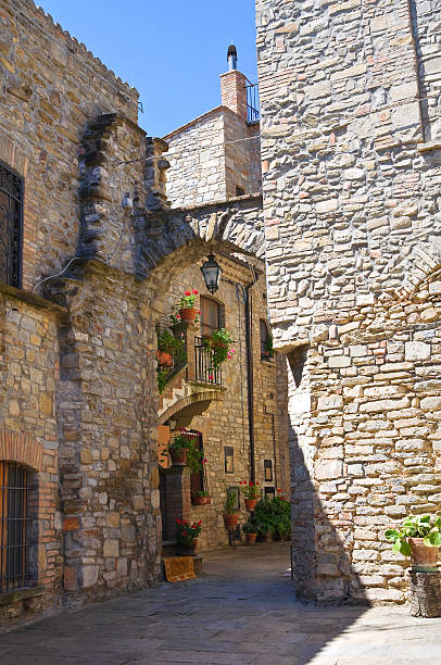 istock Alleyway. Guardia Perticara. Basilicata. Italy. 465302028