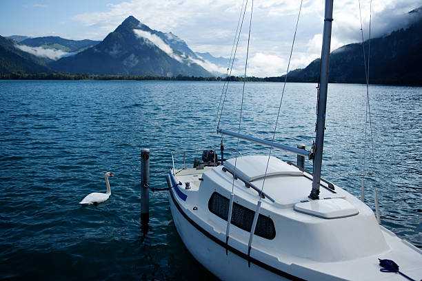 ボート、スワン・イン・インターラーケン湖,switzerland - nautical vessel sailboat interlaken switzerland ストックフォトと画像