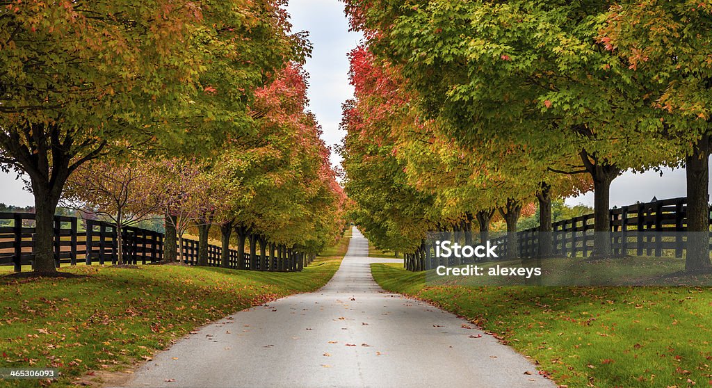 Horse farm alley Road between horse farms in rural Kentucky Kentucky Stock Photo