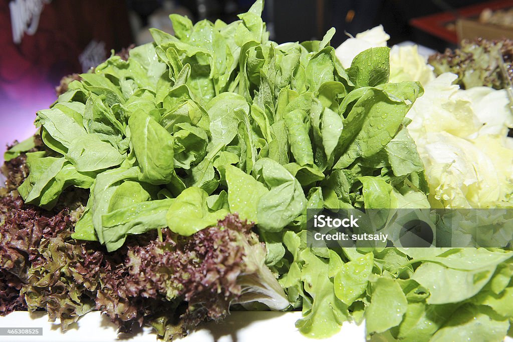Salad Fresh vegetable Agriculture Stock Photo