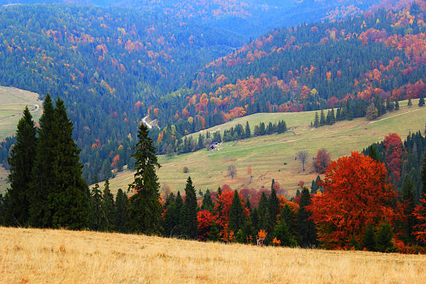 istock Autumn in Mountains. Pieniny, Poland. 465309003