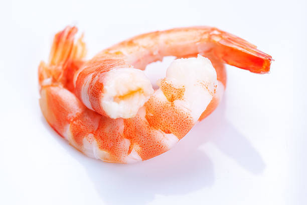 タイガー海老 - black tiger shrimp ストックフォトと画像