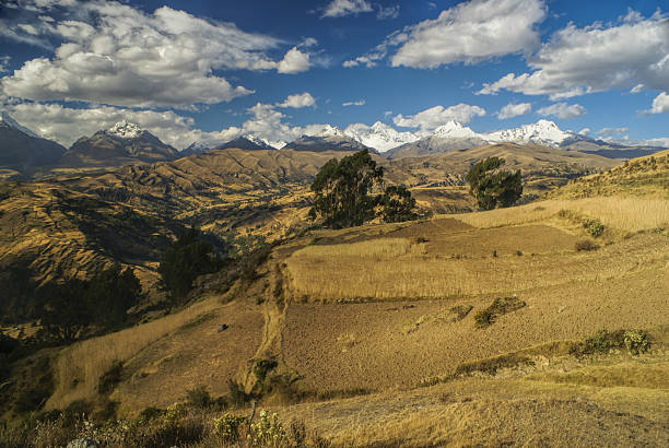 istock Cordillera Negra in Peru 465314246