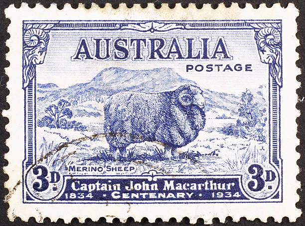 istock Merino sheep on vintage australian postage stamp 465314955