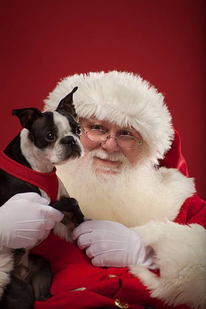 Real Santa tenendo un cane - foto stock