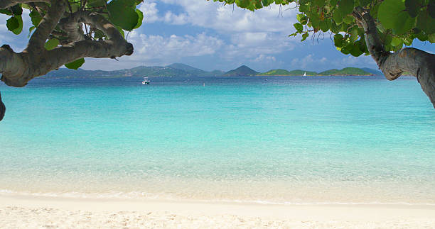 scott beach w caneel bay, st.john, wyspy dziewicze stanów zjednoczonych - caneel bay zdjęcia i obrazy z banku zdjęć