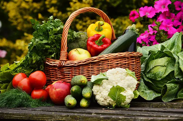 Photo of Fresh organic vegetables in the garden