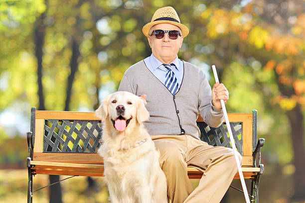 istock Senior blind gentleman sitting on a bench with his labrador 465327521