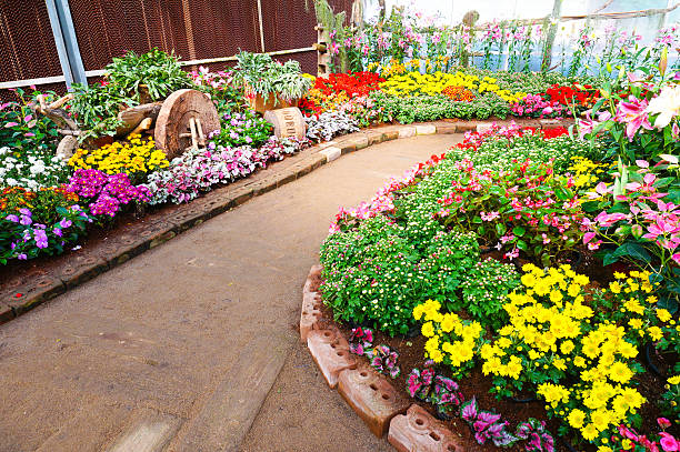 istock way in the garden 465327895
