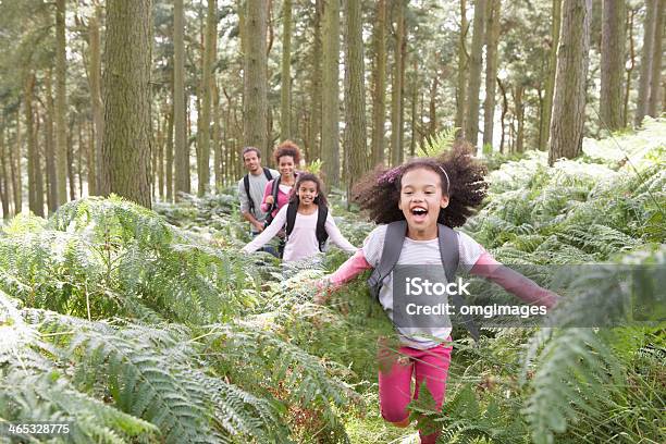 Family Group Hiking In Woods Together Stock Photo - Download Image Now - Family, Exploration, Outdoors