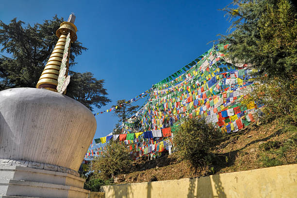 istock Buddhist prayer flags in  Dharamshala, India 465330992