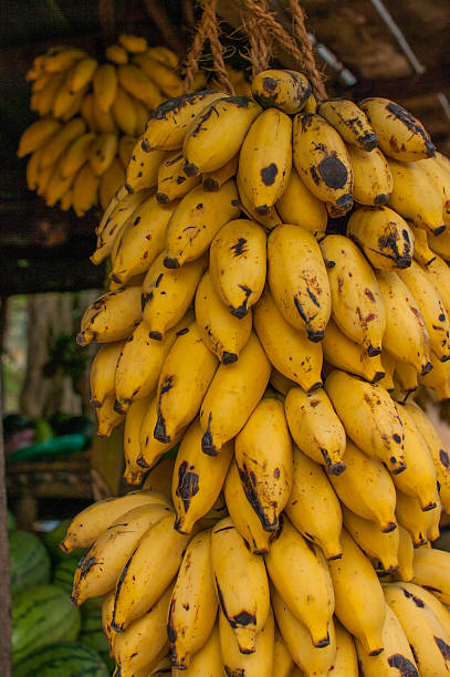 Bananas for sale, Sri Lanka stock photo