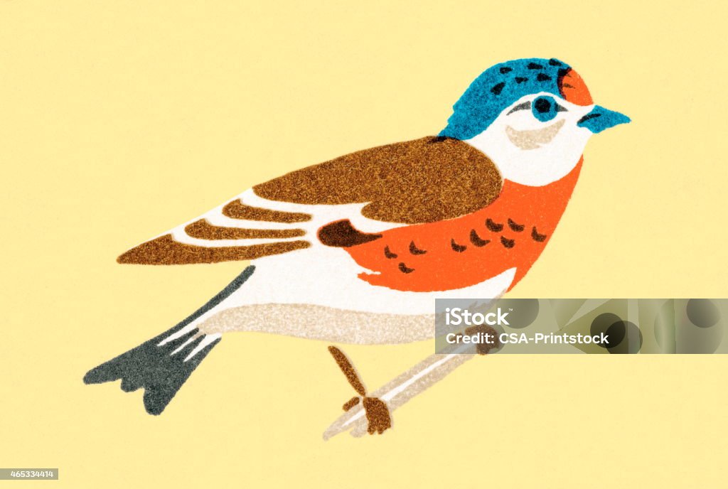 Bird http://csaimages.com/images/istockprofile/csa_vector_dsp.jpg 2015 stock illustration