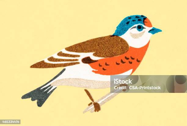Bird Stock Illustration - Download Image Now - 2015, Animal, Animal Wildlife
