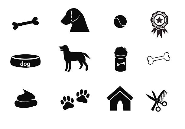 illustrazioni stock, clip art, cartoni animati e icone di tendenza di icona set vettoriale del cane - dog animal bone dog bone dog food