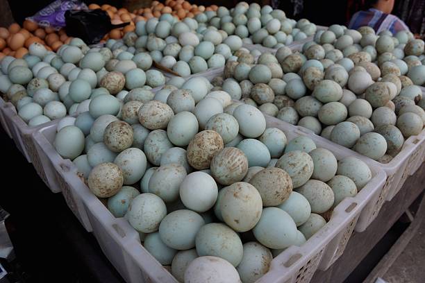 Dozens of Eggs