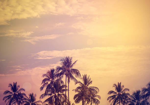 istock Vintage style filtered nature background with flare effect. 465339584