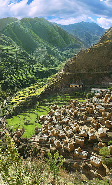 village traditionnel de l'himalaya - millet terrace photos et images de collection